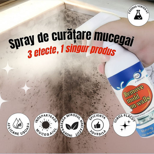Spray Anti Mucegai